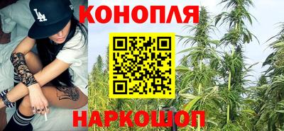 гидропоника Заводоуковск
