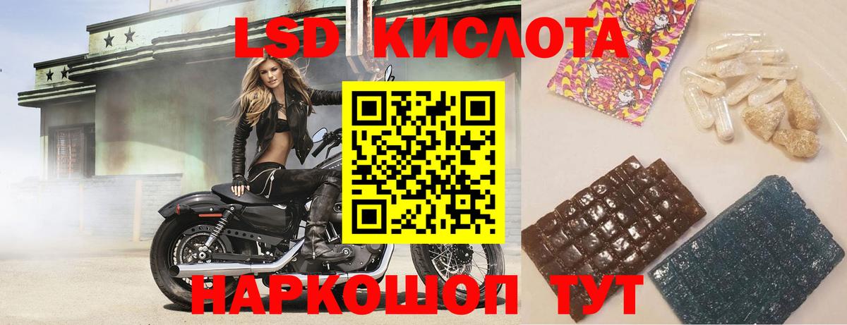 Лесной  LSD-25 экстази ecstasy  ЛСД экстази  ЛСД экстази кислота  Вход с VPN 