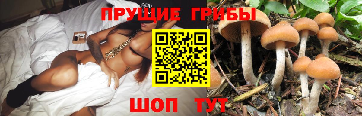 Лесной  Галлюциногенные грибы мицелий  Вход с VPN  Псилоцибиновые грибы мухоморы 